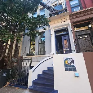 Macaw New York